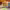 https://res.cloudinary.com/billionhands/image/upload/v1781516540/items/ta8egeoeuogxxqypvnnj.webp-1cover