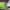 https://res.cloudinary.com/billionhands/image/upload/v1781518167/items/ntqxyw9x1jbhcjenauuo.jpg-3cover