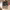 https://res.cloudinary.com/billionhands/image/upload/v1781519259/items/yt3rmrd8esmwvsmw0mv0.webp-0cover