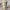 https://res.cloudinary.com/billionhands/image/upload/v1781519661/items/jqyw1nttwbocnnl9jspl.jpg-2cover