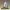 https://res.cloudinary.com/billionhands/image/upload/v1781520085/items/pumcxiw9u2ylfeu89p8j.jpg-1cover