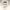 https://res.cloudinary.com/billionhands/image/upload/v1781520415/items/csyeinj4nauophq74acm.jpg-3cover