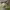 https://res.cloudinary.com/billionhands/image/upload/v1781521119/items/i1pup1zkexwsonv82oxf.jpg-2cover