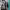 https://res.cloudinary.com/billionhands/image/upload/v1781521392/items/hdzwrtzrinypgvgaw4dj.jpg-3cover