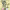 https://res.cloudinary.com/billionhands/image/upload/v1781521397/items/hgfpyage93acr4xsetrm.webp-0cover