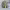 https://res.cloudinary.com/billionhands/image/upload/v1781521884/items/ghh5rlor3r0xvb9rq7gq.webp-2cover