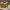 https://res.cloudinary.com/billionhands/image/upload/v1781522612/items/whu8qf1oom29ht2s3qfc.jpg-0cover