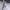 Charli XCX and George Daniel's Wedding cover