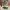 https://res.cloudinary.com/billionhands/image/upload/v1781523433/items/uczgjx1ywfld0nveqao7.jpg-1cover