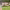 https://res.cloudinary.com/billionhands/image/upload/v1781523437/items/fpqzoph9pcmmcvjjlmje.jpg-3cover