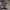 https://res.cloudinary.com/billionhands/image/upload/v1781523446/items/gvqivj2xyjbyzjqzhvit.webp-2cover
