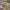 https://res.cloudinary.com/billionhands/image/upload/v1781524967/items/ndq26yuxbxxxx0cirelt.webp-1cover