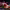 https://res.cloudinary.com/billionhands/image/upload/v1781527891/items/saywlsec7ijqxwbs9uz0.jpg-2cover