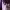 https://res.cloudinary.com/billionhands/image/upload/v1781531462/items/qckpjvmic0zwha4wcldp.jpg-1cover