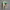 https://res.cloudinary.com/billionhands/image/upload/v1781531539/items/n1xc1fw294zndysymryb.webp-2cover