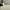 https://res.cloudinary.com/billionhands/image/upload/v1781533650/items/yzstvpozw0poodfkbhhr.webp-3cover
