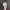 https://res.cloudinary.com/billionhands/image/upload/v1781533750/items/etn7juptemyn82rh52op.jpg-3cover