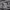 https://res.cloudinary.com/billionhands/image/upload/v1781533867/items/za4omysgxjtxrtz6ucjq.webp-2cover