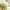 https://res.cloudinary.com/billionhands/image/upload/v1781533992/items/mxsjc7pgibna2bqf3a0r.jpg-3cover