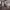 https://res.cloudinary.com/billionhands/image/upload/v1781534991/items/m9qaspwbqwbm2iwahzbw.webp-2cover