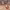 https://res.cloudinary.com/billionhands/image/upload/v1781535338/items/i3ehohkiy3em9aam3lmw.jpg-2cover