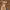 https://res.cloudinary.com/billionhands/image/upload/v1781536866/items/rd313mlpx5wbmith6upp.jpg-2cover