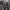 https://res.cloudinary.com/billionhands/image/upload/v1781537473/items/ngeeudxkudv0nkms8bjo.jpg-0cover