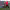 https://res.cloudinary.com/billionhands/image/upload/v1781537763/items/m4ttia5djywr3j9oc29k.jpg-2cover