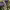 https://res.cloudinary.com/billionhands/image/upload/v1781538405/items/c4l2mxrkdkl2bcdgeqts.jpg-0cover