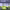https://res.cloudinary.com/billionhands/image/upload/v1781538846/items/ey5g5rx3s1ewom46hoic.gif-3cover