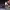 https://res.cloudinary.com/billionhands/image/upload/v1781541643/items/foicfxqgiv0qjfrfunz7.jpg-2cover