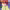https://res.cloudinary.com/billionhands/image/upload/v1781541905/items/ietamxu694n8yrpqh5oi.webp-2cover