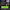 https://res.cloudinary.com/billionhands/image/upload/v1781542148/items/ltwxh0zevs8d4cao2xd7.jpg-2cover