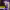 https://res.cloudinary.com/billionhands/image/upload/v1781542156/items/gnkdyprpfeuxgidqv9yr.jpg-0cover