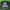 https://res.cloudinary.com/billionhands/image/upload/v1781542411/items/lsqplxzlbxlfhzjsdbqw.jpg-2cover