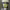 https://res.cloudinary.com/billionhands/image/upload/v1781543507/items/id8ppwddgv3xjakydmvz.webp-0cover