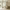 https://res.cloudinary.com/billionhands/image/upload/v1781544081/items/rcdoky6l1lziuyunts01.webp-1cover