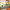 https://res.cloudinary.com/billionhands/image/upload/v1781544105/items/jdxueqys6fowsdzp0zbf.jpg-2cover