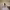 https://res.cloudinary.com/billionhands/image/upload/v1781544215/items/r5h70urdlmsvfupgbedl.webp-3cover