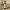 https://res.cloudinary.com/billionhands/image/upload/v1781544247/items/yduphowapmamtf1waxdw.webp-3cover