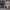 https://res.cloudinary.com/billionhands/image/upload/v1781545257/items/gcmjovpzhotbd88b2vek.avif-2cover
