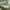 https://res.cloudinary.com/billionhands/image/upload/v1781545812/items/en0vksi9jklwfw05au0m.jpg-1cover