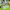 https://res.cloudinary.com/billionhands/image/upload/v1781545815/items/myouufocxg3ldjsj6v35.jpg-0cover