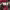 https://res.cloudinary.com/billionhands/image/upload/v1781546129/items/tyvb91x1xes5mjyr76jp.jpg-3cover