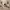https://res.cloudinary.com/billionhands/image/upload/v1781547596/items/la6r18qr9un46afqhvsj.jpg-3cover