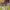 https://res.cloudinary.com/billionhands/image/upload/v1781549685/items/fceazc777lbbtlprtbqb.jpg-3cover