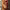 https://res.cloudinary.com/billionhands/image/upload/v1781549696/items/rvw9ypegt9b3yujfvepd.webp-3cover