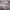 https://res.cloudinary.com/billionhands/image/upload/v1781551612/items/a3eavm7qtahb0oaaxbw2.webp-2cover