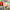 https://res.cloudinary.com/billionhands/image/upload/v1781556402/items/hmofxmripl60rgkc2vog.png-2cover
