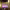 https://res.cloudinary.com/billionhands/image/upload/v1781558300/items/jrc6llrpdhrx3akyzvar.webp-1cover